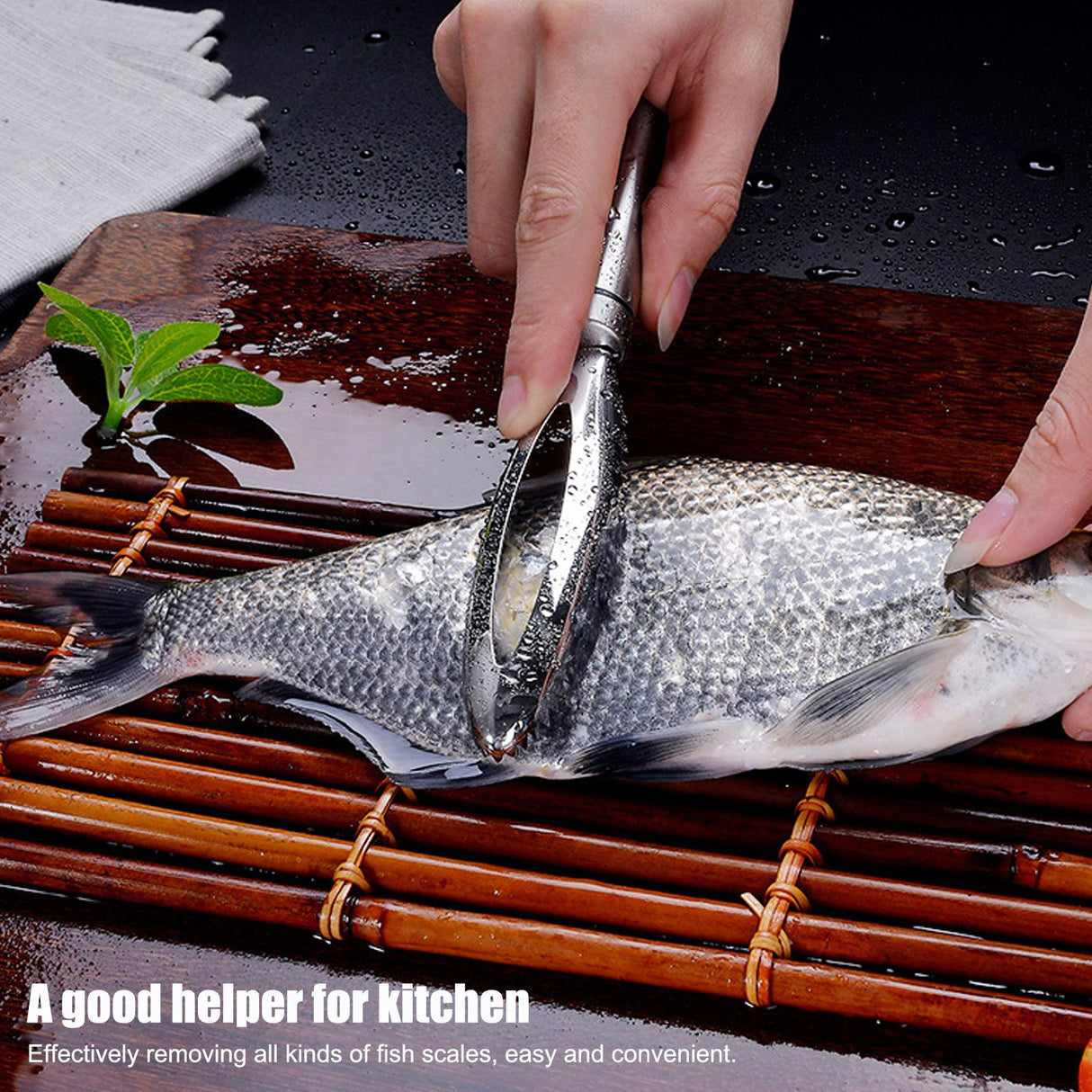 Fish Scaler Stainless Steel Fish Scraper Fish Scale Remover Scraping Removing Tool Kitchen Tool