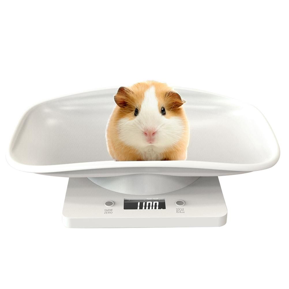 Digital Pet Scale Kitchen Scale Multi Function LCD Electronic Scale 10kg Weight Scale Pet Supplies