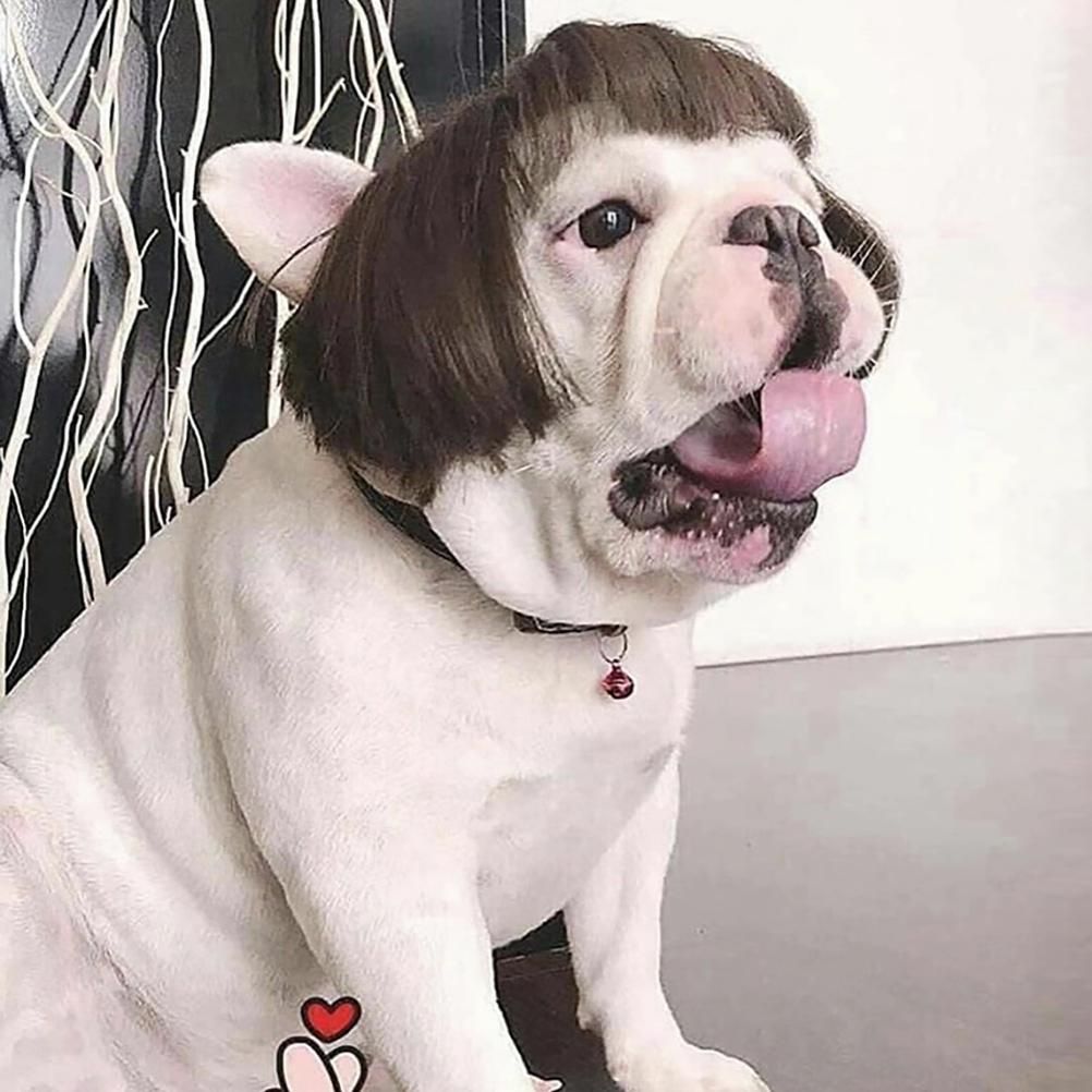 Dog Wig Pet Costumes Pet Headwear Hair Costumes for Festival Cosplay Party