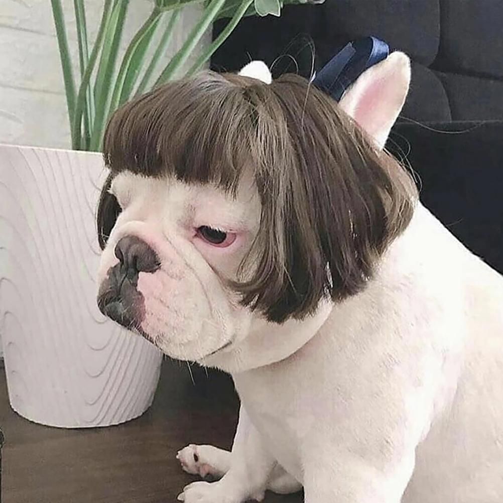 Dog Wig Pet Costumes Pet Headwear Hair Costumes for Festival Cosplay Party