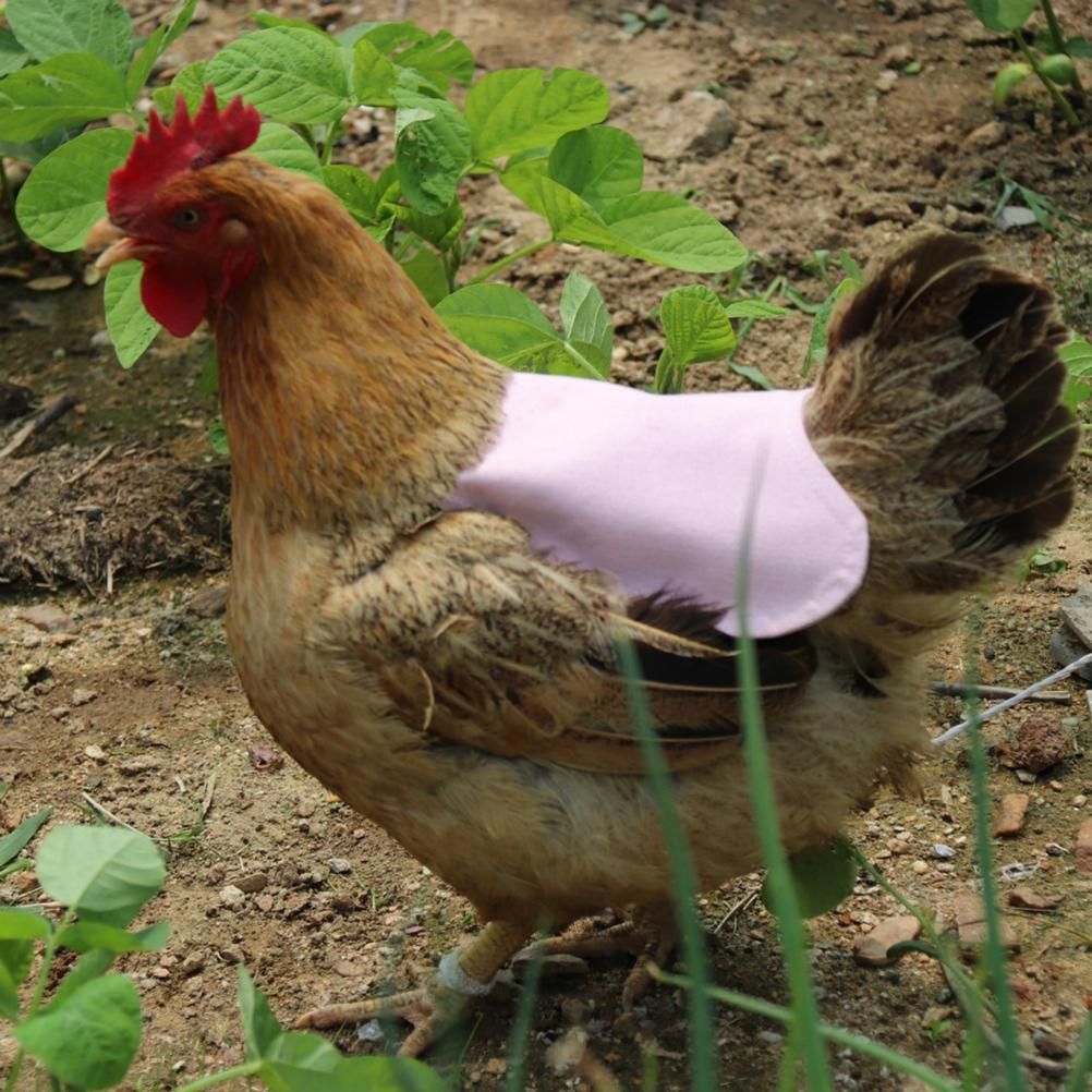 Canvas Chicken Apron Hen Saddle Vest Hen Duck Wing Protection Chicken Jackets Hen Aprons Poultry Care Accessories