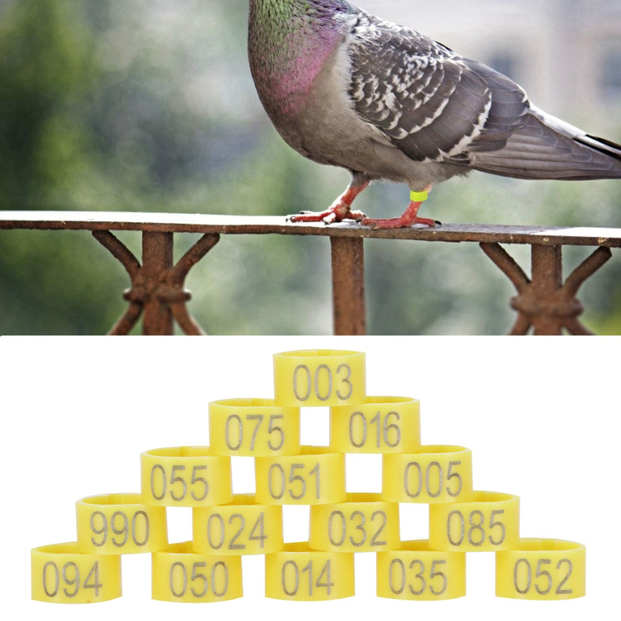 100Pcs Bird Foot Rings Bands 10mm 001-100 Numbered Pigeons Identify Clip Poultry SupplyYellow
