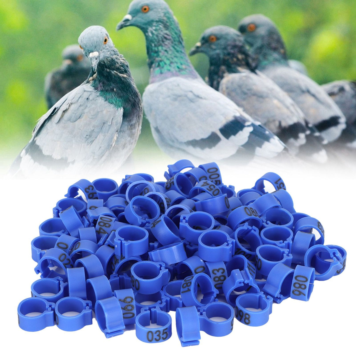 100Pcs Bird Foot Rings Bands 10mm 001-100 Numbered Pigeons Identify Clip Poultry SupplyBlue