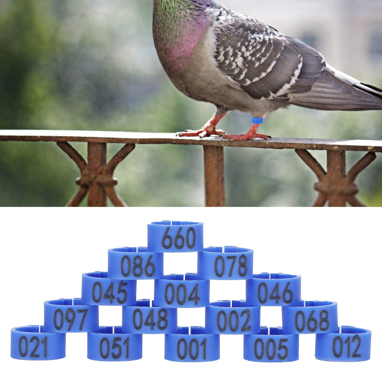 100Pcs Bird Foot Rings Bands 10mm 001-100 Numbered Pigeons Identify Clip Poultry SupplyBlue