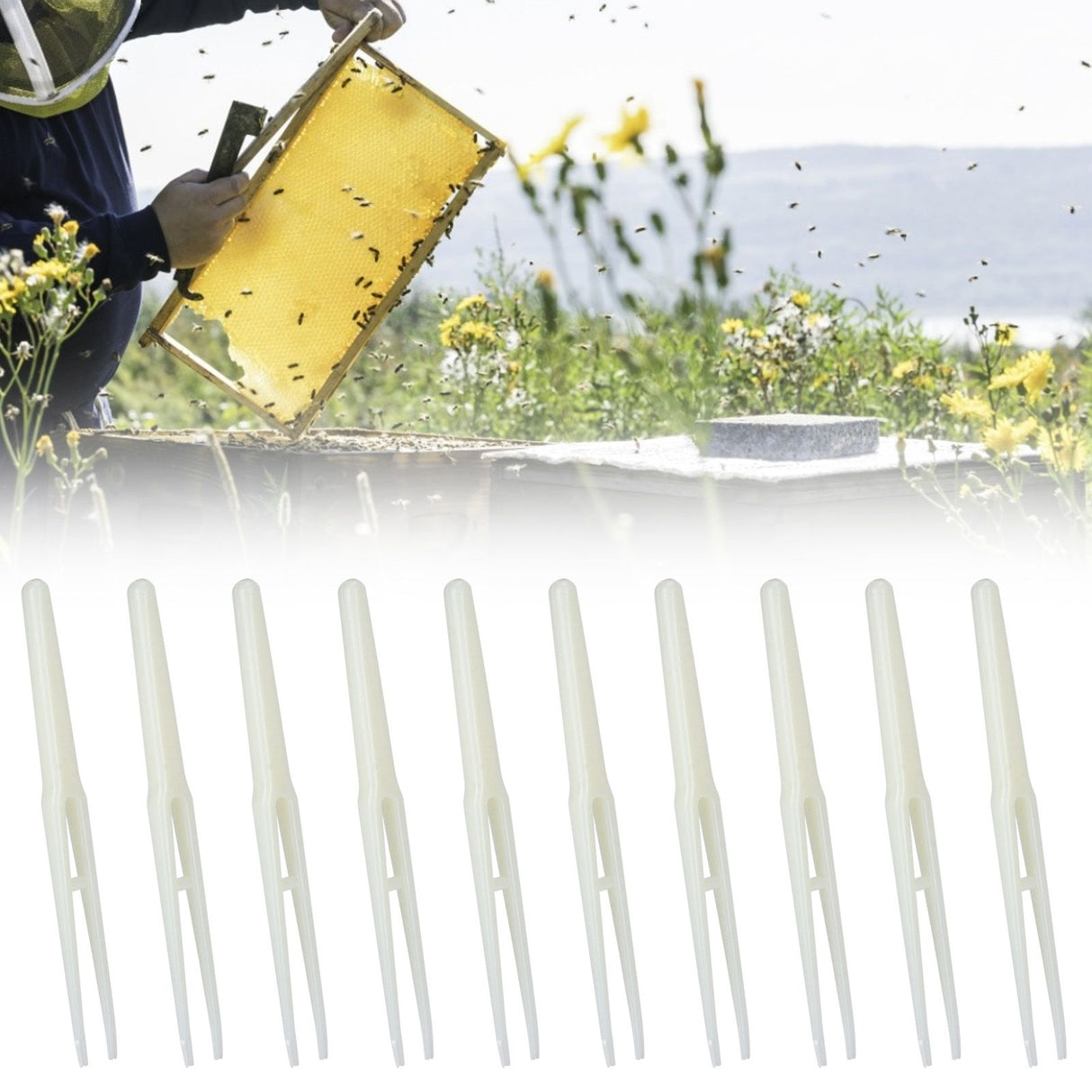 10PCS Beekeeping Birth Control Tweezers Apiculture Equipment Beekeeper Beekeeping Tools