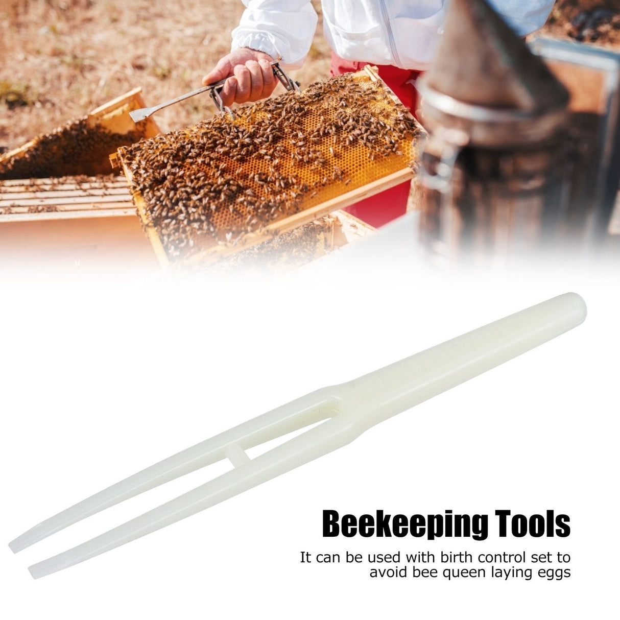 10PCS Beekeeping Birth Control Tweezers Apiculture Equipment Beekeeper Beekeeping Tools
