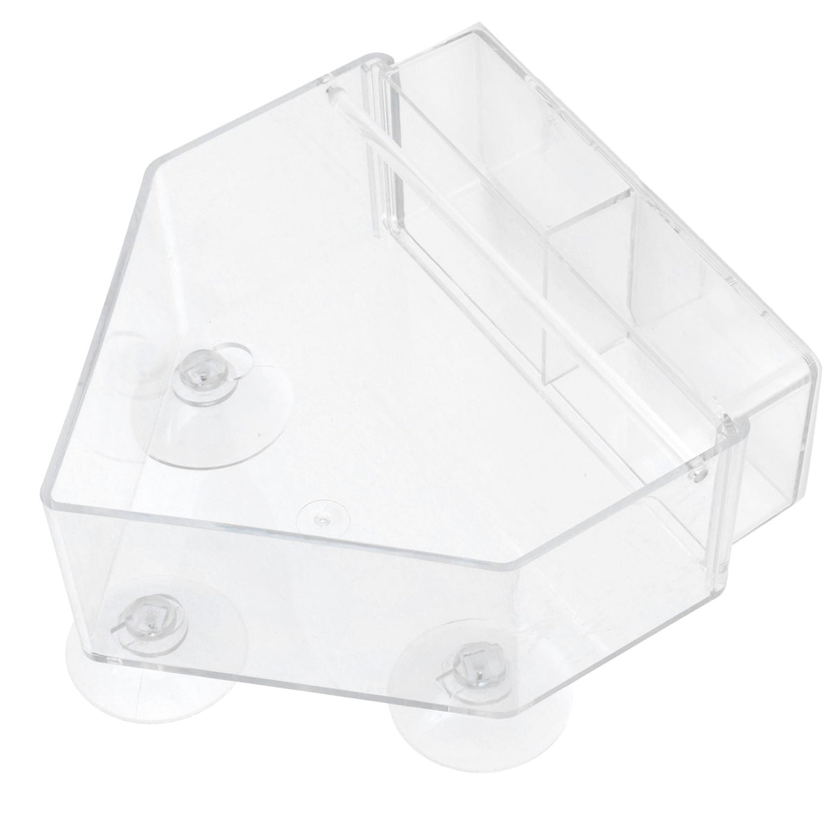Indoor Outdoor Hanging Bird Feeder PS Transparent Bird Feeding Tool for Feeding Small Birds