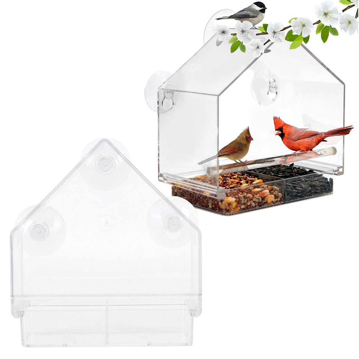 Indoor Outdoor Hanging Bird Feeder PS Transparent Bird Feeding Tool for Feeding Small Birds