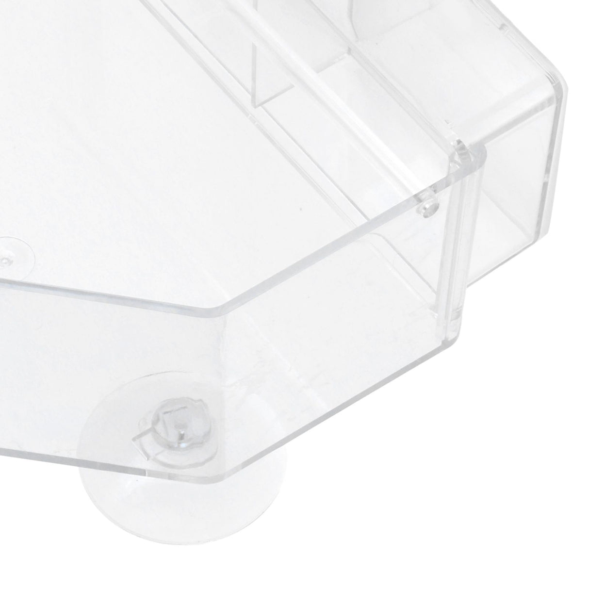 Indoor Outdoor Hanging Bird Feeder PS Transparent Bird Feeding Tool for Feeding Small Birds