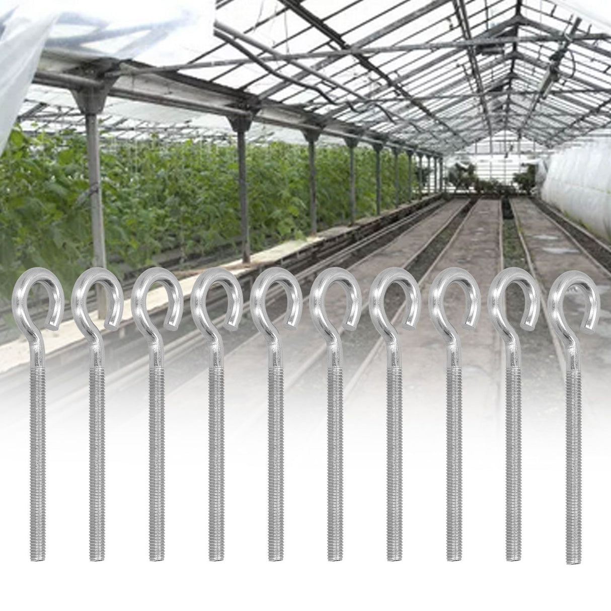 10Pcs M6 Ring Bolt 304 Stainless Steel Sunshade Net Thread Ring Screw Hook Greenhouse Supplies