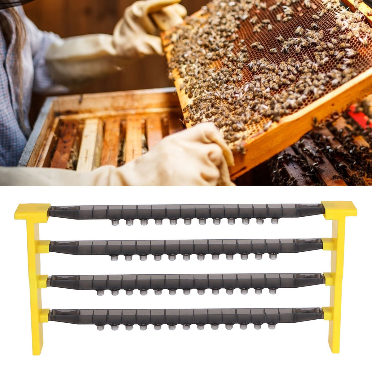 Bee Cell Cups Kit Queen Rearing System Cultivating Queen Cage Apiculture Beekeeping Supplies