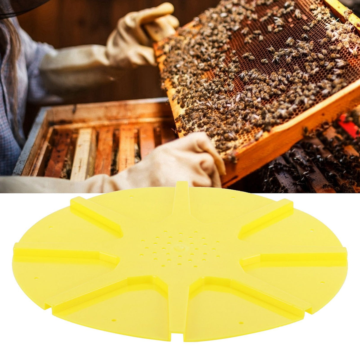 8 Way Circular Beehive Door Exit Disc Anti Escape Guard Device Beekeeping Accessory