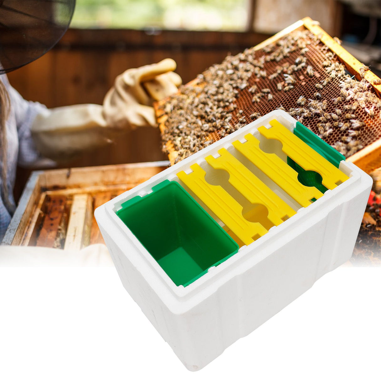 Queen Bee Mating Box Pollination Box Foam Frames Beekeeping Tool Beekeeping Equipment