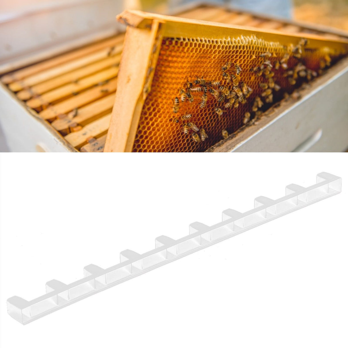 10PCS Beehive Beekeeping Spacers Frame Clips Beehive Frame Shelves Beekeeping Equipment