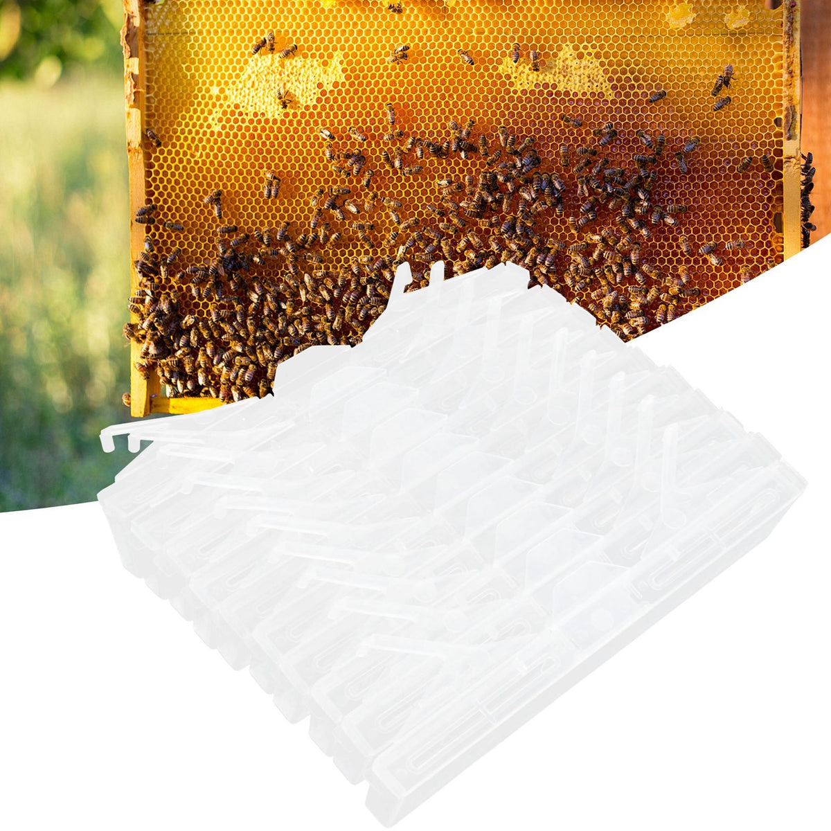 10Pcs Beehive Beetles Trap Catcher Broodlings Catching Tools Beekeeping Supplies