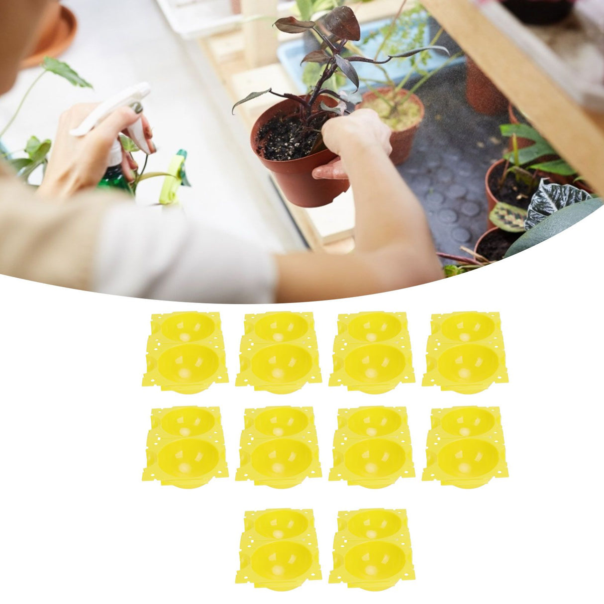 Reusable Plant Rooting Device High Pressure Propagation Ball Box Plant Grafting BallYellow S 10PCS