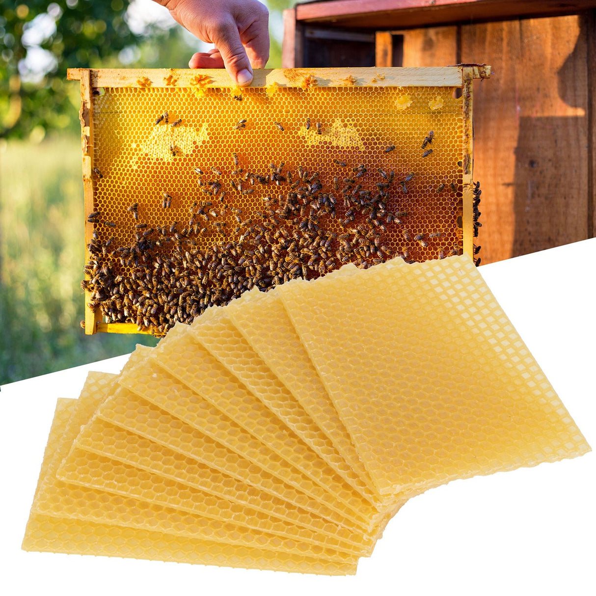 10Pcs Beekeeping Beeswax Foundation Beehive Wax Frame for Furniture Floor Polishing