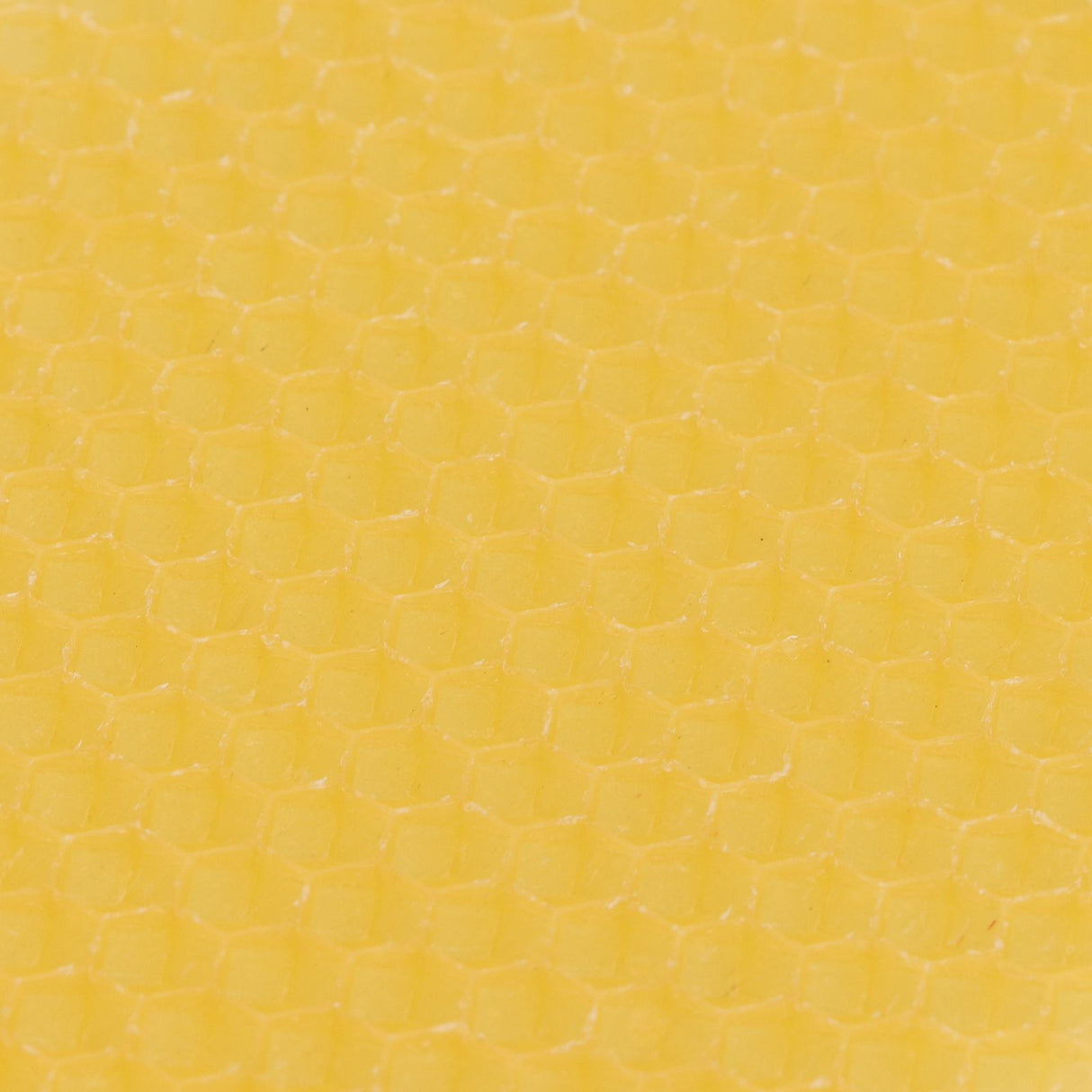 10Pcs Beekeeping Beeswax Foundation Beehive Wax Frame for Furniture Floor Polishing