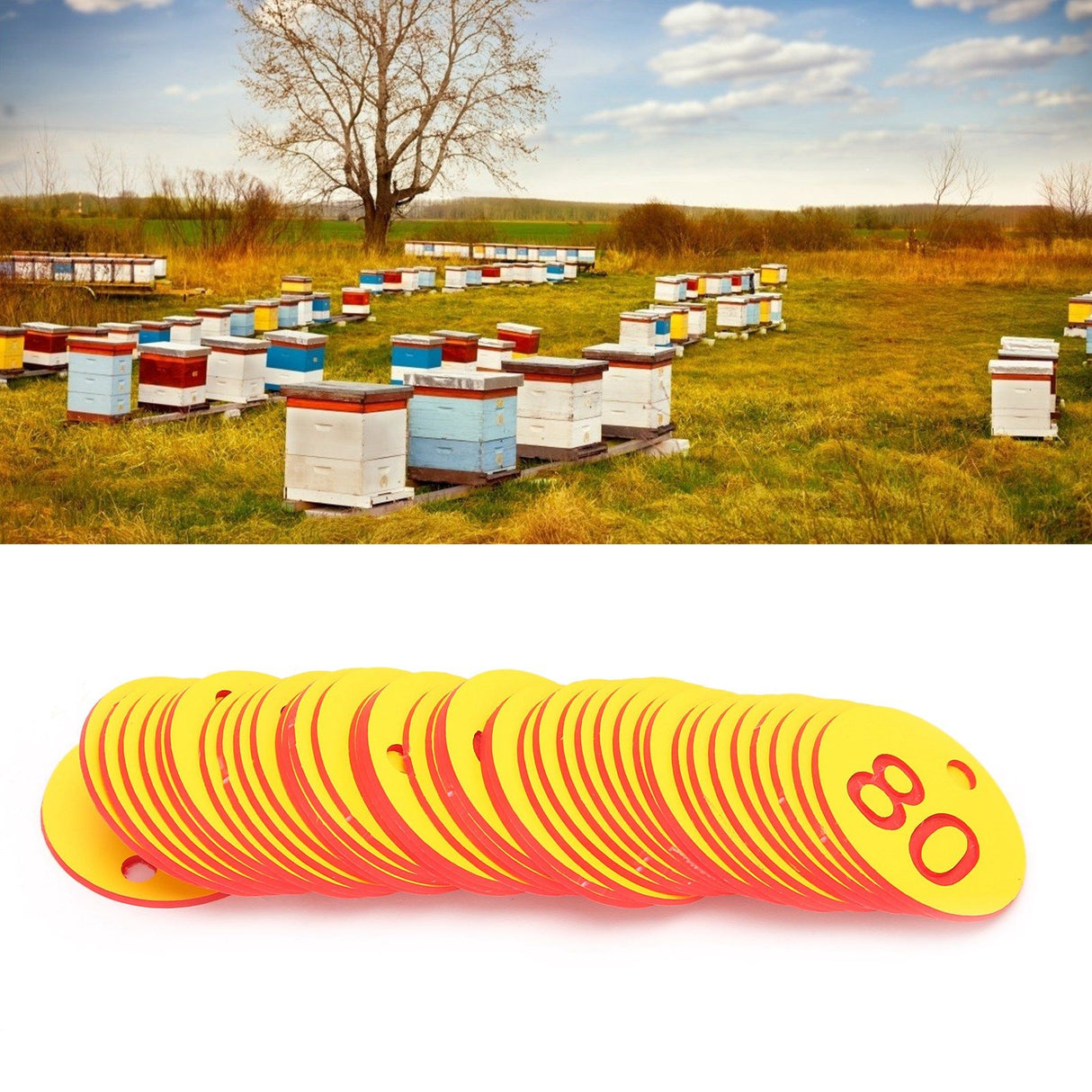 50Pcs Beehive Tag ABS Round Numbered Sign Labels with Hole Livestock Accessory Red Yellow