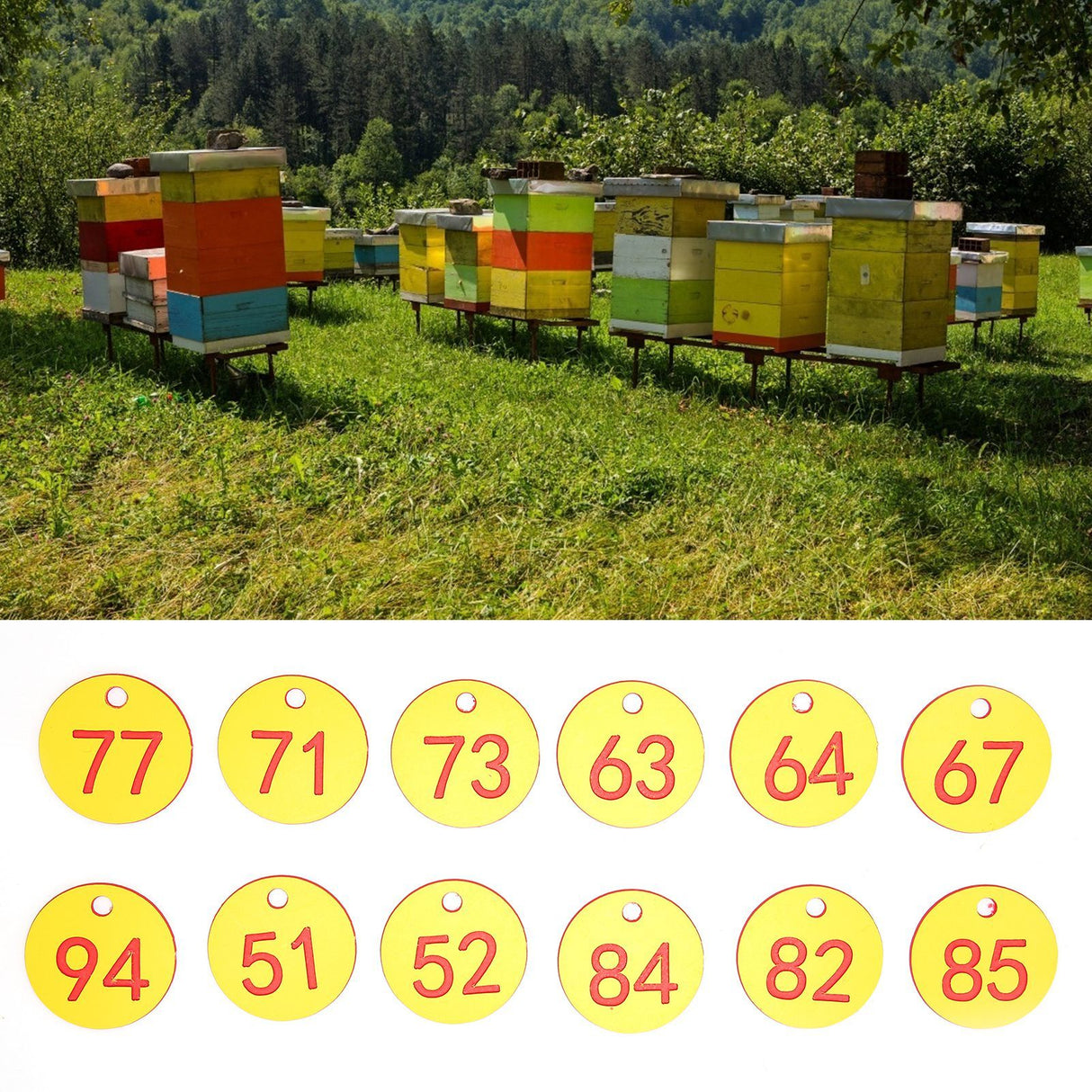 50Pcs Beehive Tag ABS Round Numbered Sign Labels with Hole Livestock Accessory Red Yellow