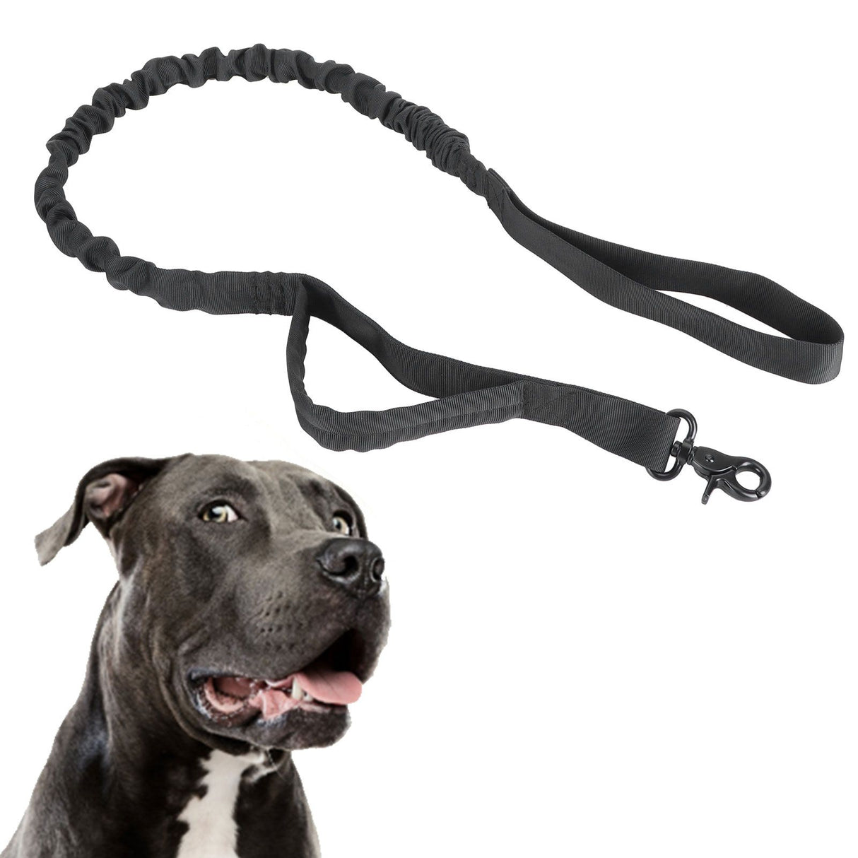 Dog Leash Telescopic Waterproof Nylon Traction Rope Outdoor Training Pulling Strap