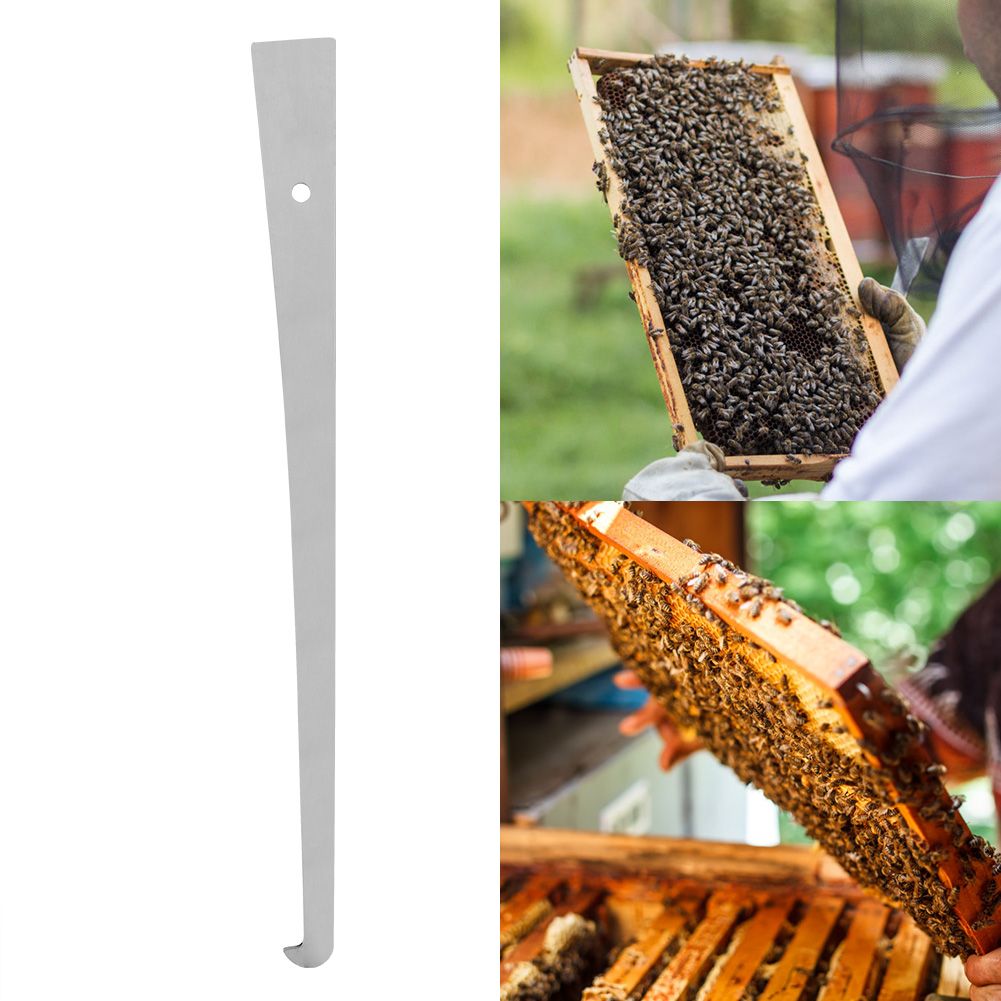 1Pc Stainless Steel Bee Hive Scraper Frame Cleaning Tool Beekeeping Tool Equipment