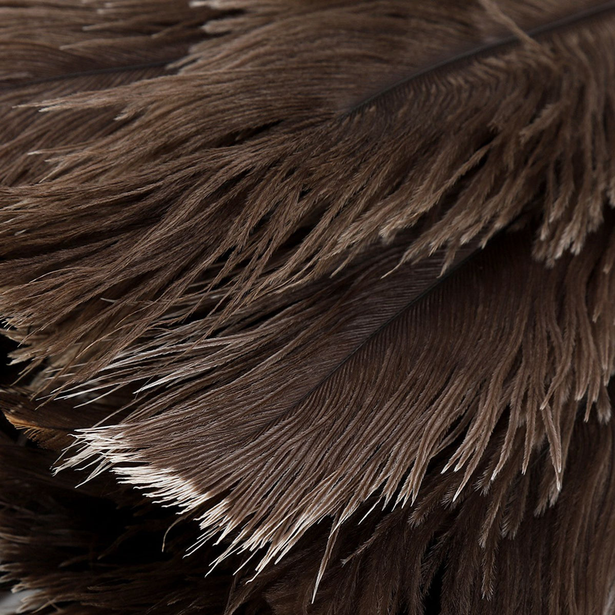Mini Washable Reusable Ostrich Feather Duster for Books Keyboard Office Home