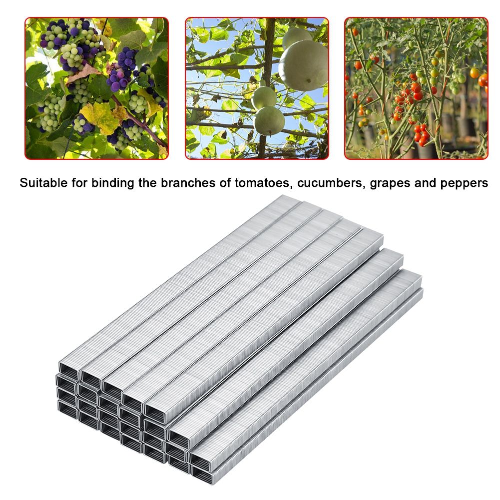 10000pcs 604C Tomato Vine Binder Nail Tapetool Garden Nail Branch Binding Nail