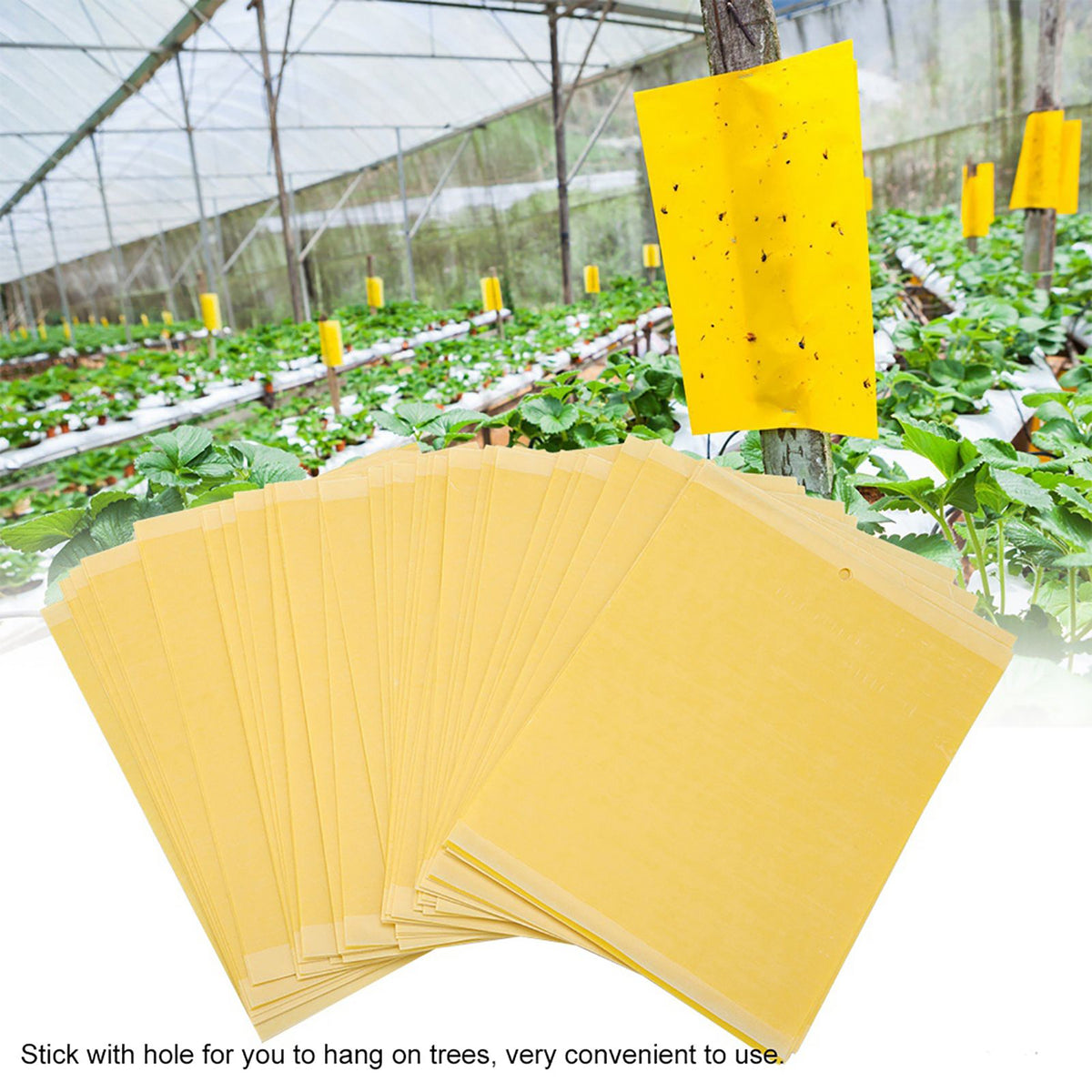 50Pcs Double sided Mosquito Glue Board Traps Pest Sticky Board Fly Insects Catcher Killer