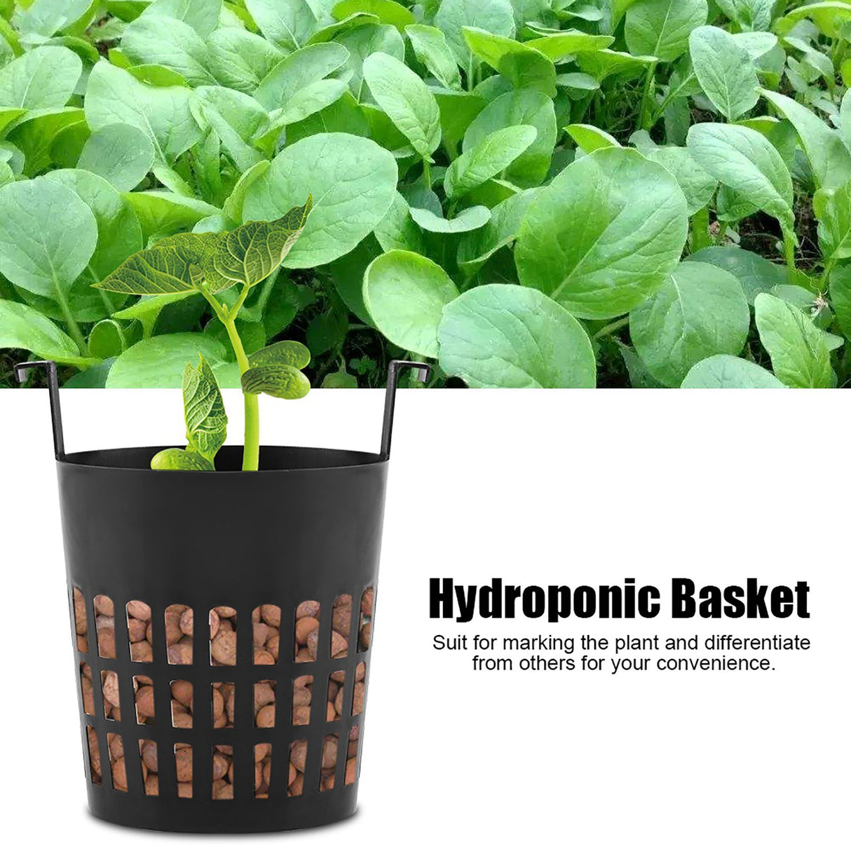 10Pcs High Quality Mesh Pot Net Basket Hydroponic Aeroponic Planting Grow Pots