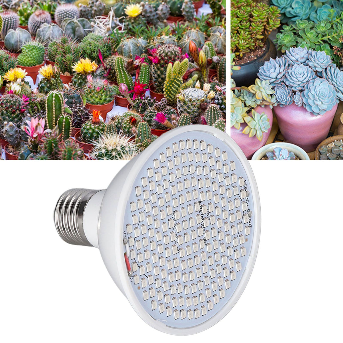 Plant Light E27 Bulb Red Blue Light E27 LED Grow Bulb for Indoor Seedlings 85‑265V E27 200