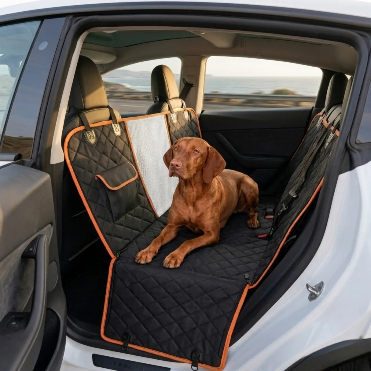 CARLA HOME Waterproof Dog Car Seat Cover Hammock - Black - Nylon - Dog Set Cover