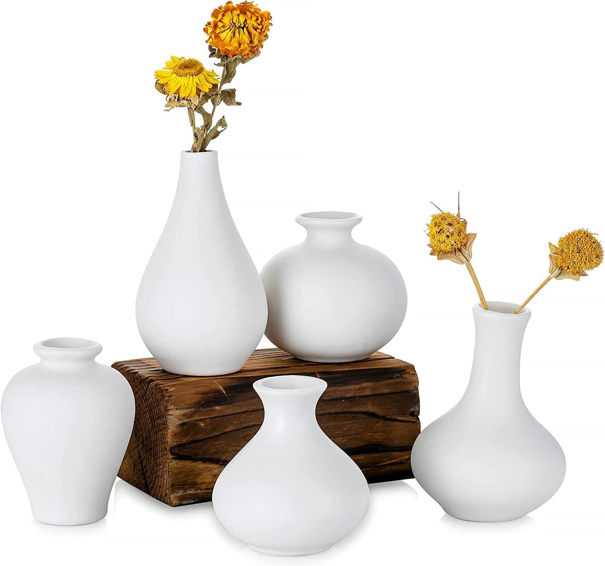 Ceramic Set of 5 White Vases for Home D?cor