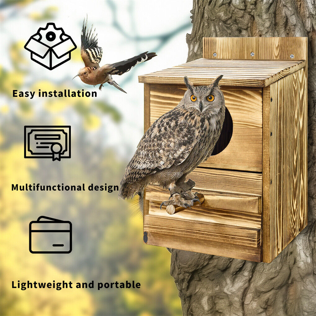 Owl Nesting Box Bird Feeder Paulownia Wood Acrylic