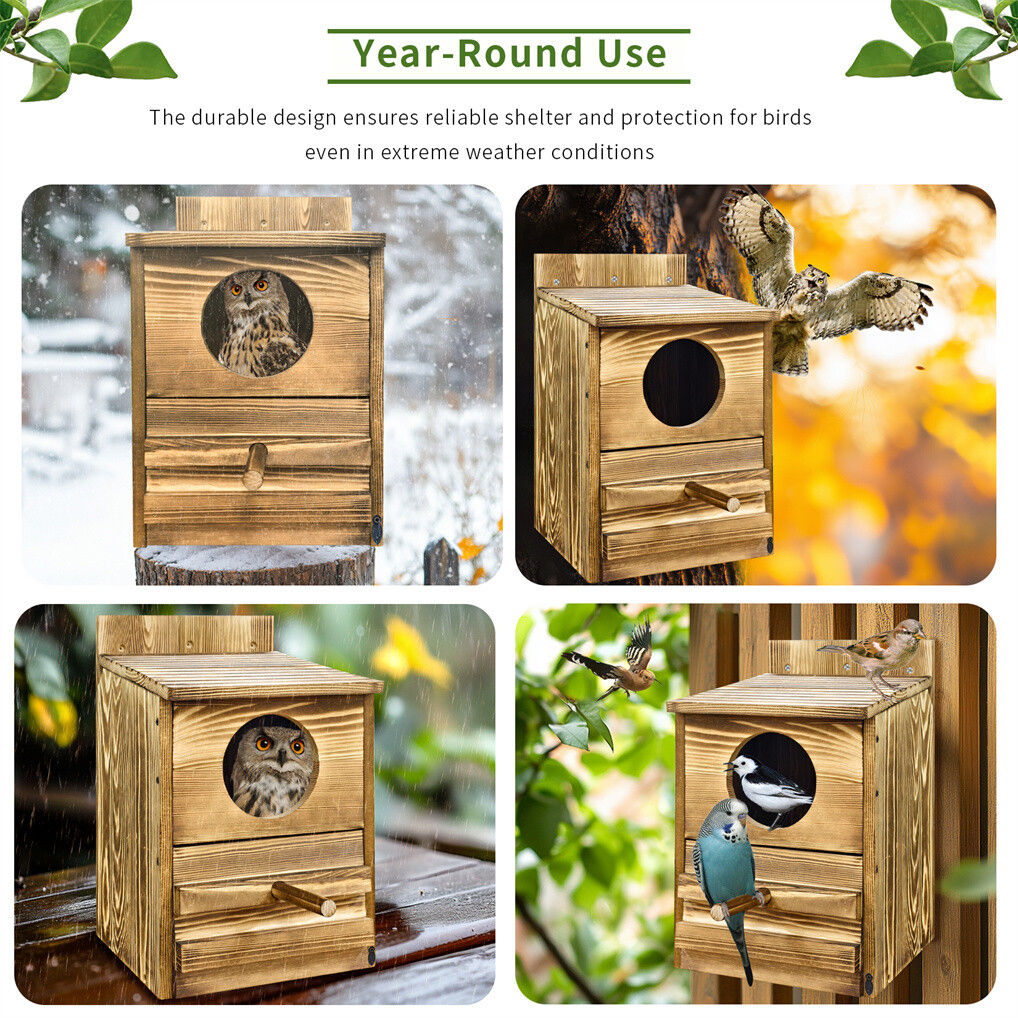 Owl Nesting Box Bird Feeder Paulownia Wood Acrylic