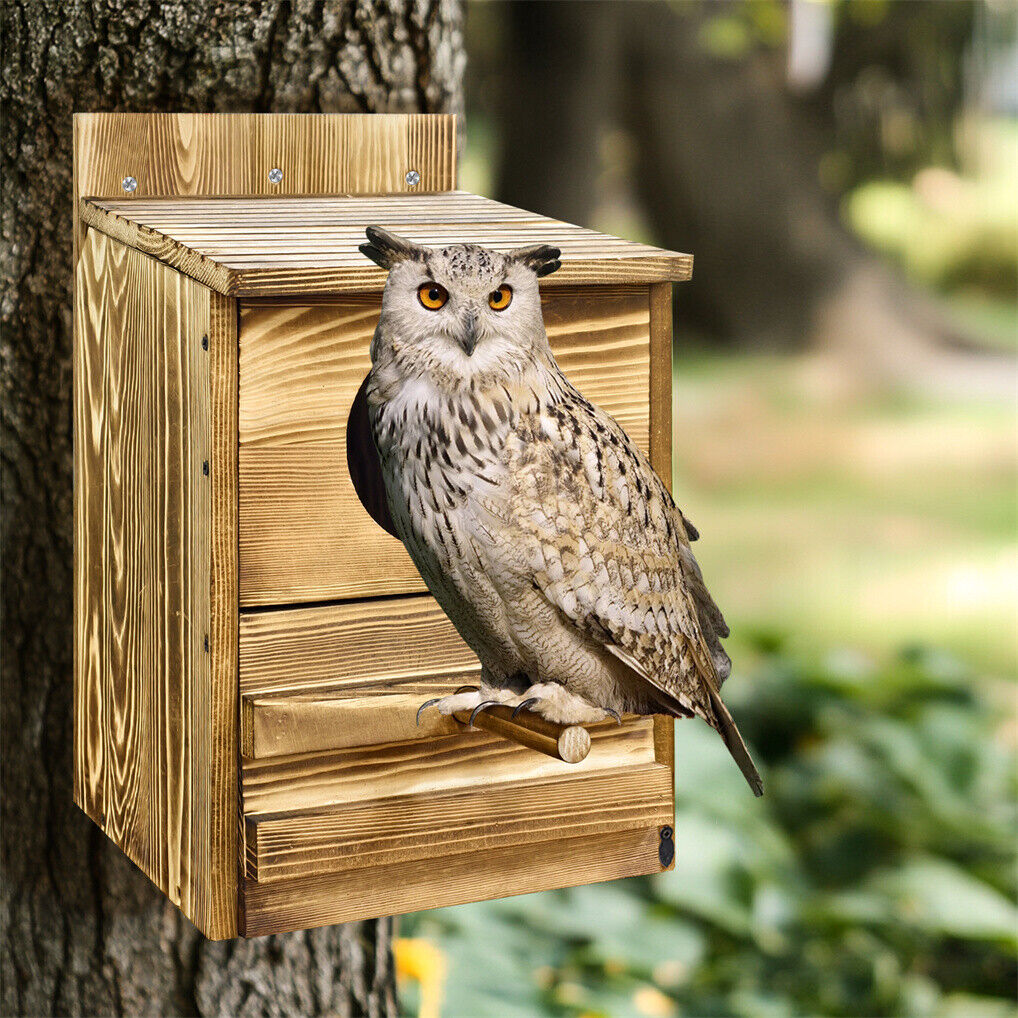 Owl Nesting Box Bird Feeder Paulownia Wood Acrylic