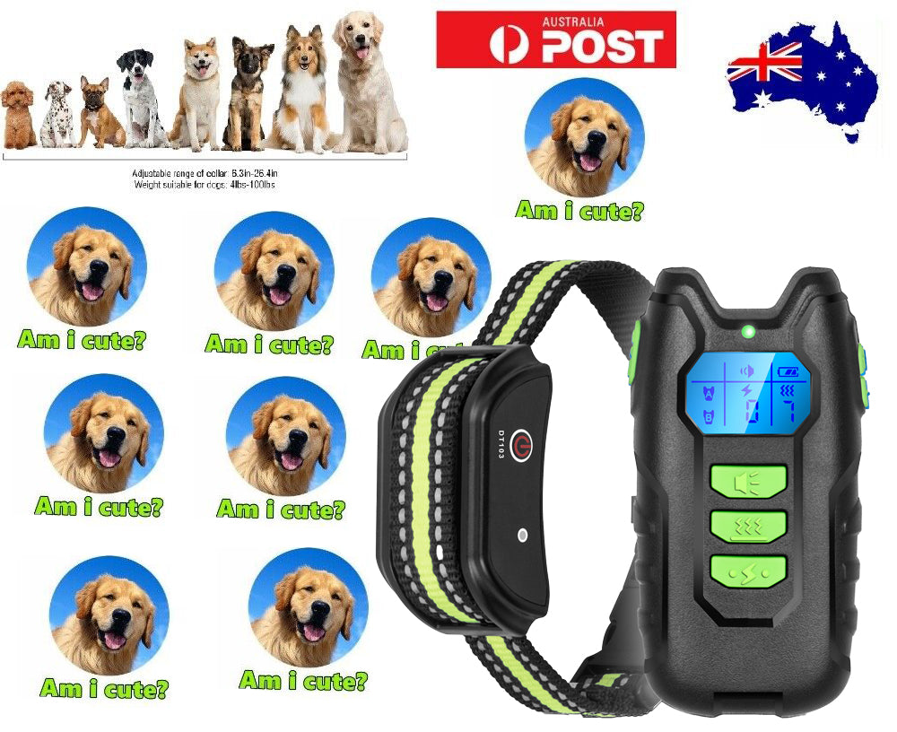 Rechargeable Anti-Bark Training Collar for Dogs with Remote Control and Waterproof Design
