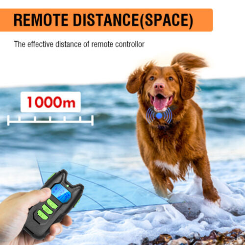 Rechargeable Anti-Bark Training Collar for Dogs with Remote Control and Waterproof Design