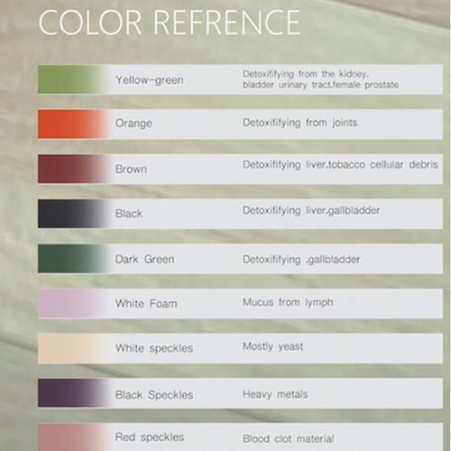 Ion Ionic Detox Foot Bath Spa Machine Tub Array Cell Cleanse for Health Tool Set