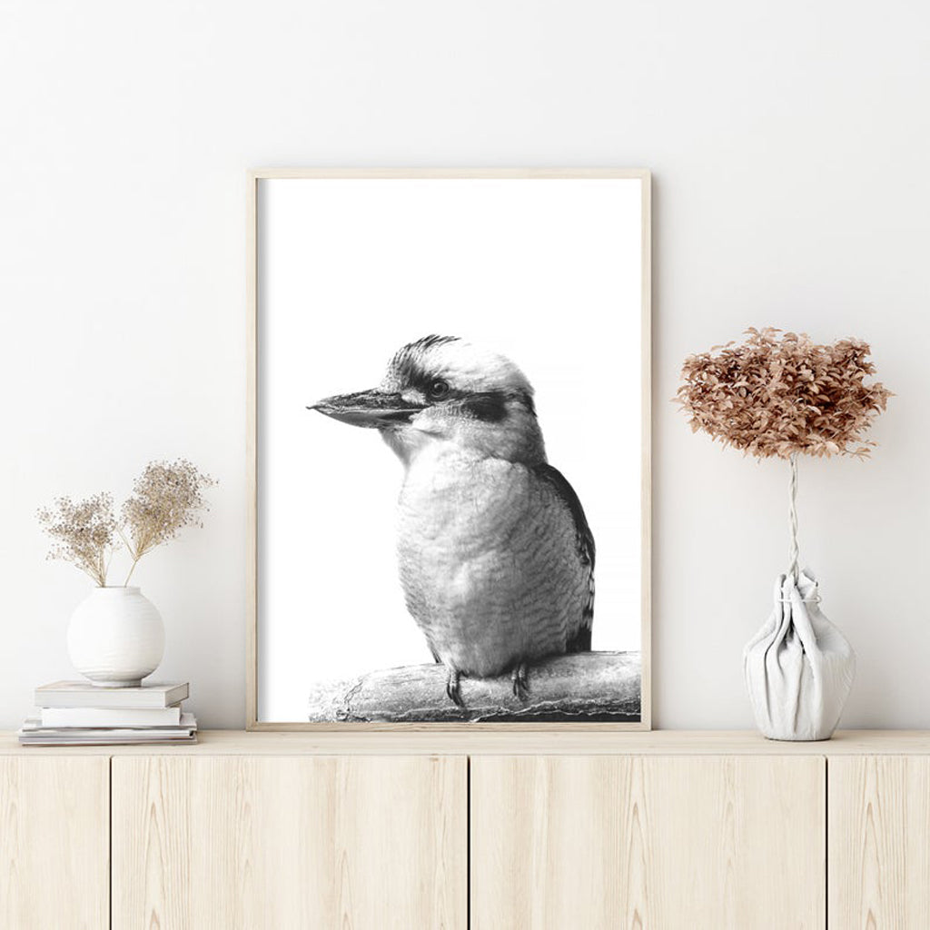 Kookaburra Canvas Art in Black Frame - 40cm x 60cm Premium Print