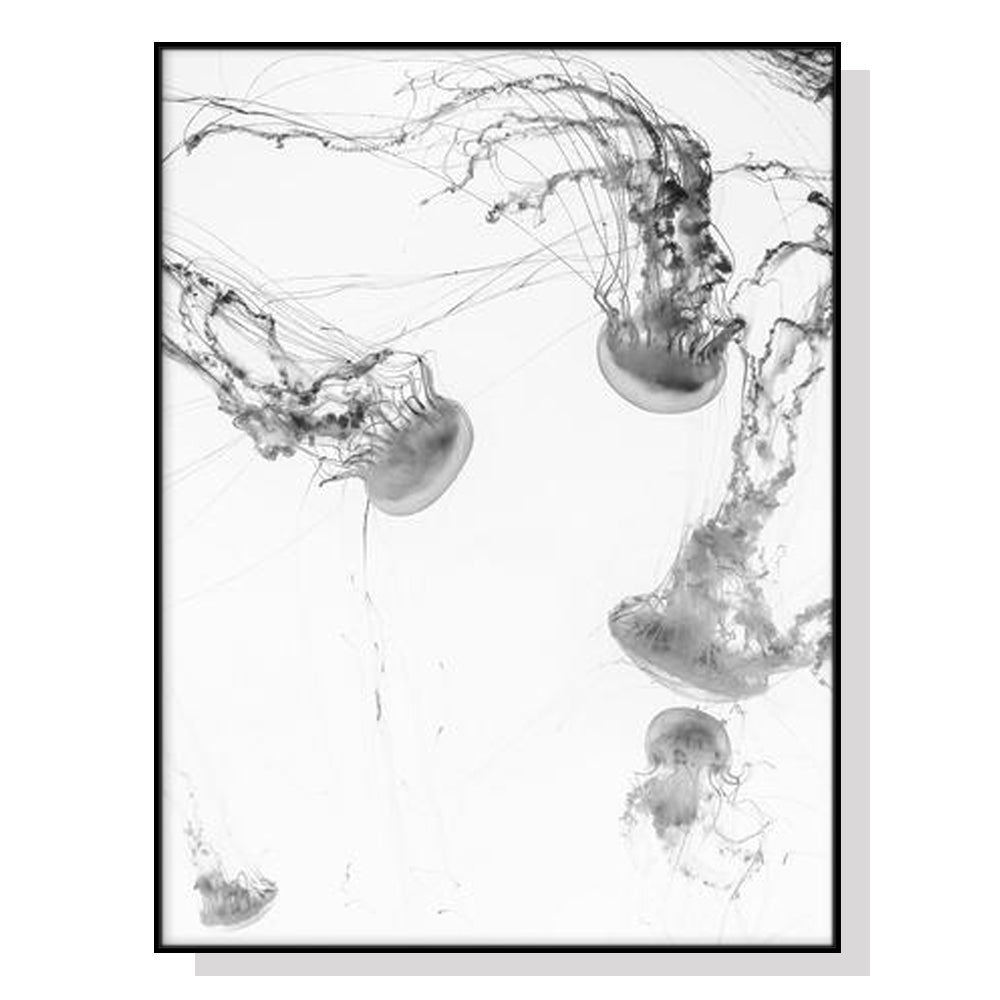 Jellyfish Canvas Art in Black Frame - 40cm x 60cm Premium Print