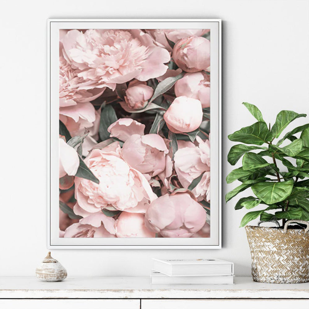 Framed 40x60cm Peony Canvas Art - Elegant White Display