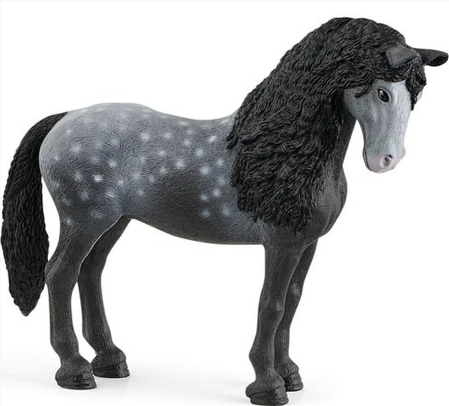 Schleich - Pura Raza Espanola Mare
