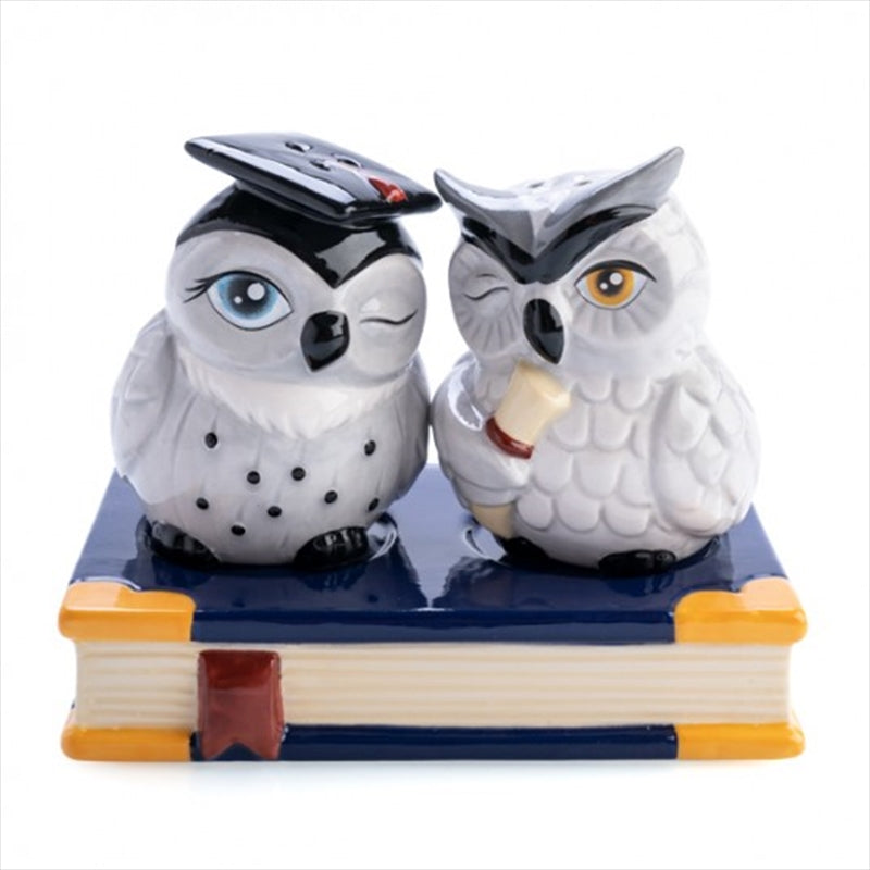 Charming Owl Shaped Salt and Pepper Shakers
