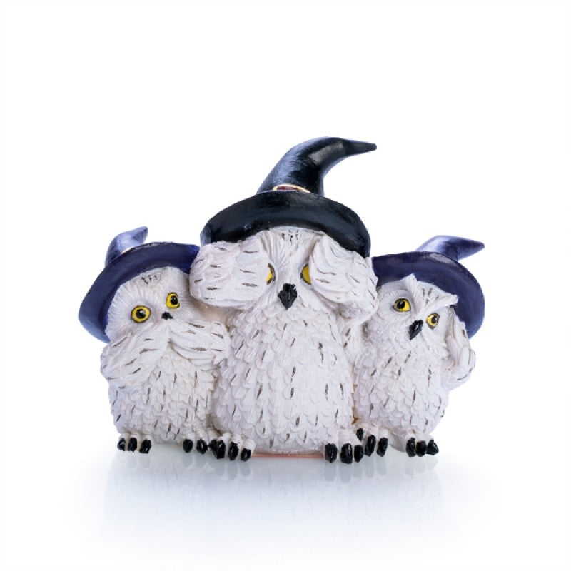 Snowy Owl Trio in Enchanting Witch Hats