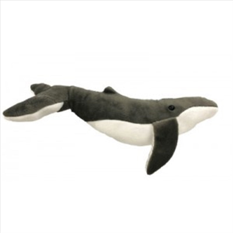 45cm Humpback Whale