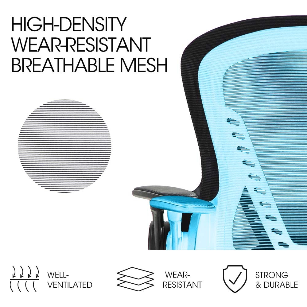 FORTIA Ergonomic Office Desk Chair Coolmesh Fabric Adjustable Recline Black Mesh/Black Frame