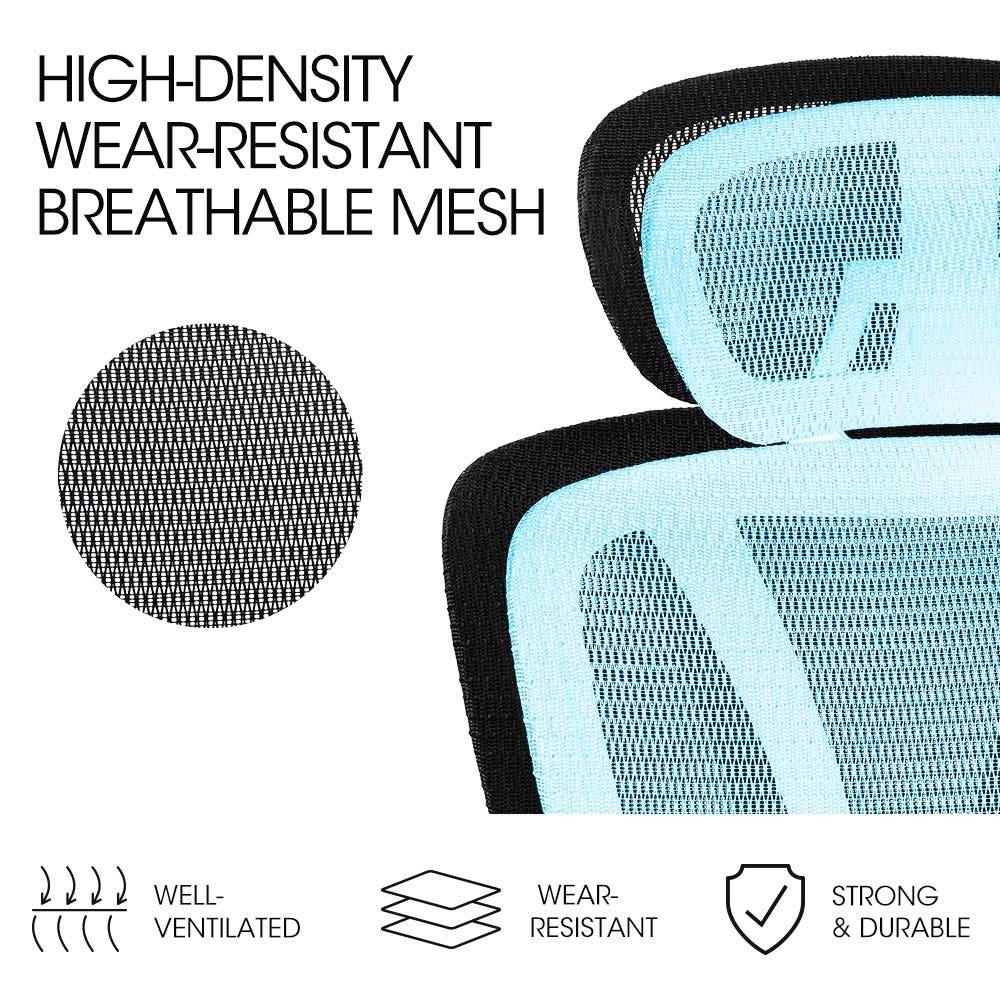 Fortia Ergonomic Office Desk Chair Coolmesh Fabric Adjustable Lumbar Support Headrest Armrest and Recline Black Mesh/Black Frame