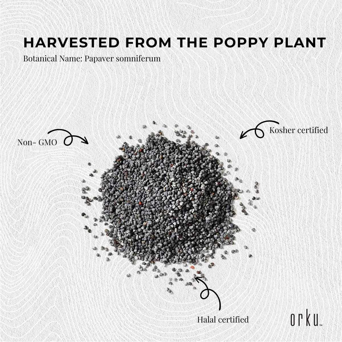 Orku 3.5Kg Poppy Seeds Unwashed Bucket Papaver Somniferum For Baking Decorating