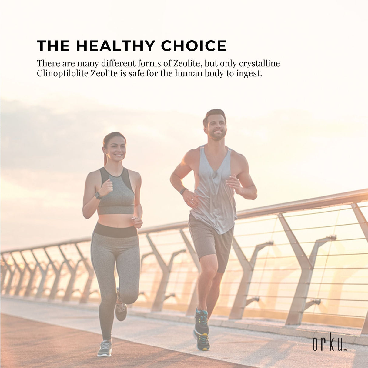 800g Premium Micronised Volcamin Zeolite Powder - High Absorption Mineral Supplement